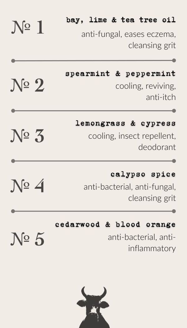 Bay Lime & Tea Tree Oil
